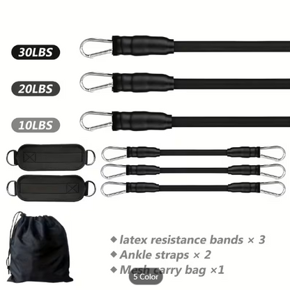 Premium Resistance Bands